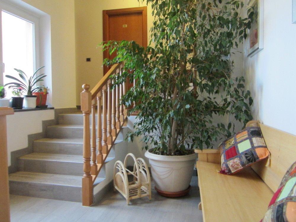 Albergo La Veranda Tavarone Exteriör bild